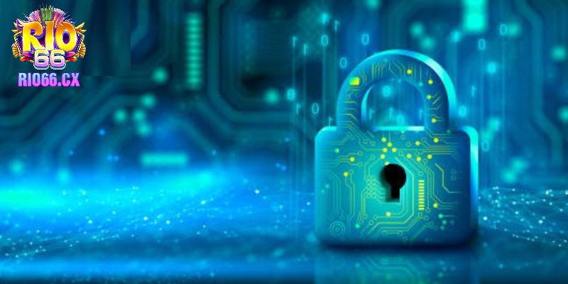 Chính sách quy định thông tin được thu thập và sử dụng